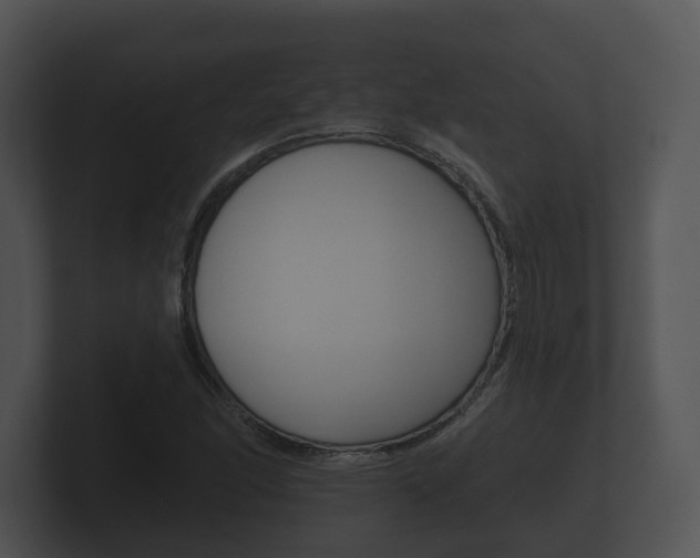 X0000100891166200806241003