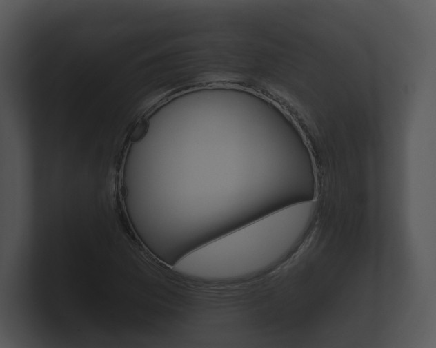 X0000100891169200806241003