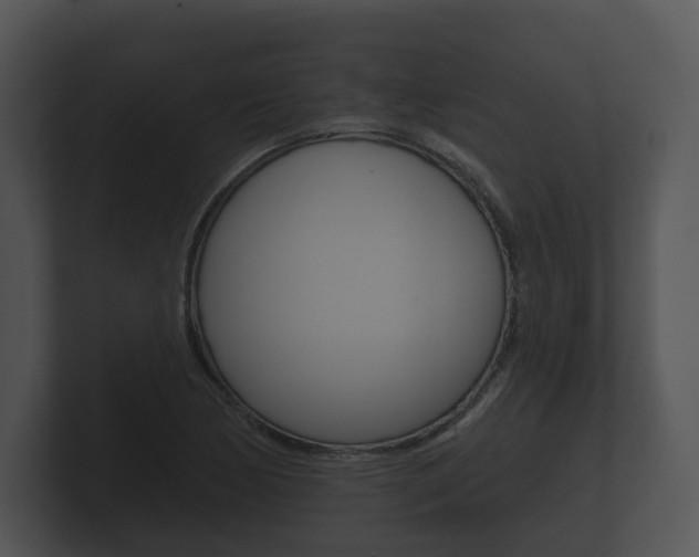 X0000100891170200806241002