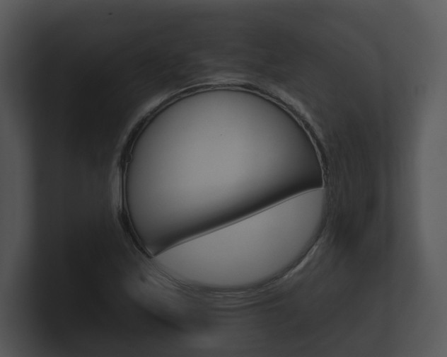 X0000100891171200806241002