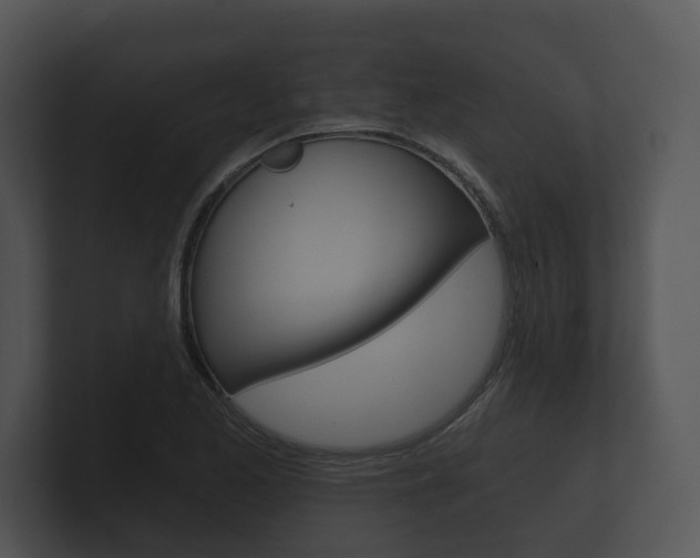 X0000100891173200806241002