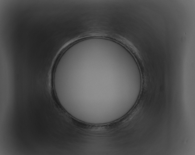 X0000100891174200806241002