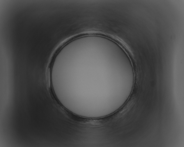 X0000100891175200806241002