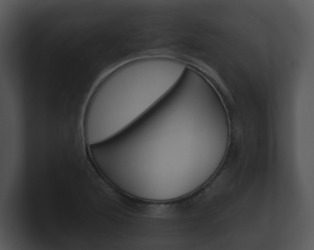 X0000100891176200806241002