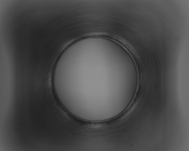 X0000100891177200806241002