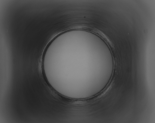 X0000100891178200806241002