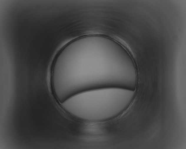 X0000100891179200806241002