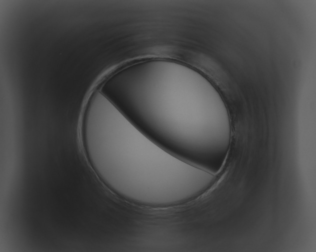 X0000100891180200806241002