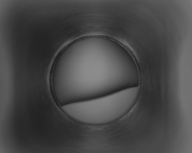 X0000100891181200806241002
