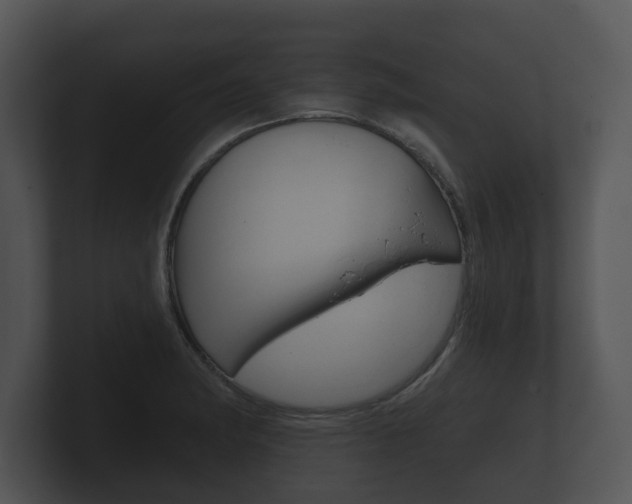 X0000100891182200806241002