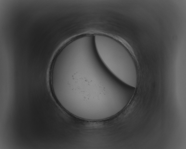 X0000100891183200806241002