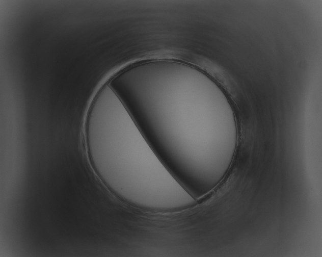 X0000100891184200806241002