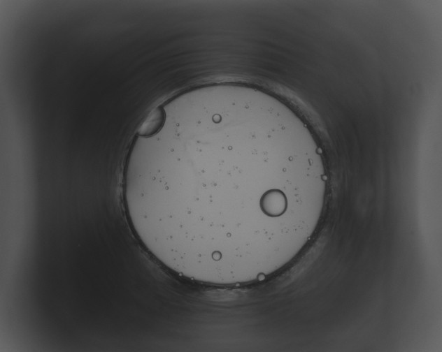 X0000100891185200806241002