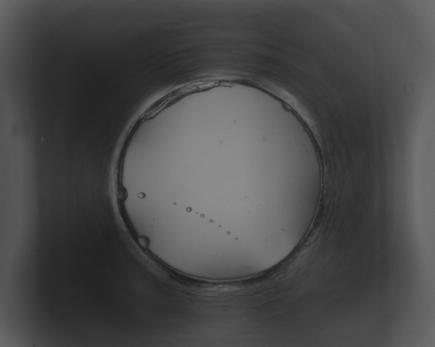 X0000100891187200806241002