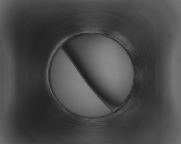 X0000100891188200806241002