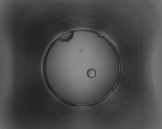 X0000100891189200806241002