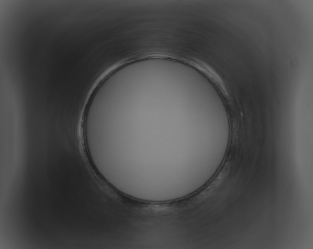 X0000100891190200806241002