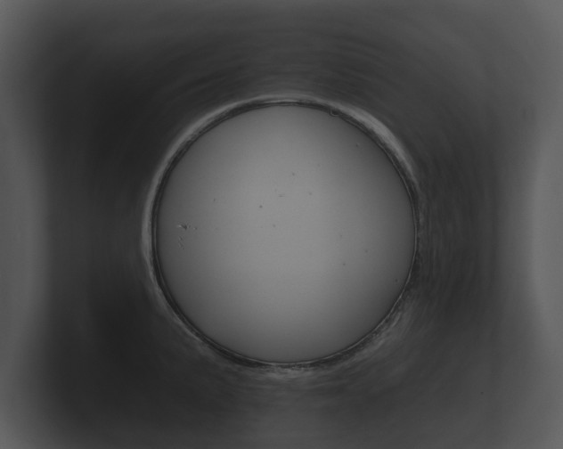 X0000100891191200806241002