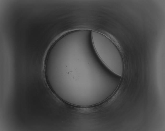 X0000100891192200806241002