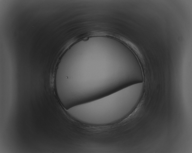 X0000100891193200806241002