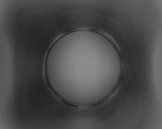 X0000100891194200806241002