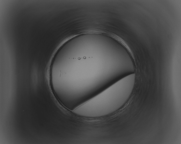 X0000100891195200806241002
