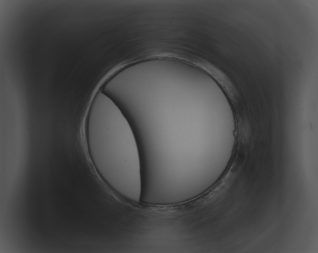 X0000100891198200806241002