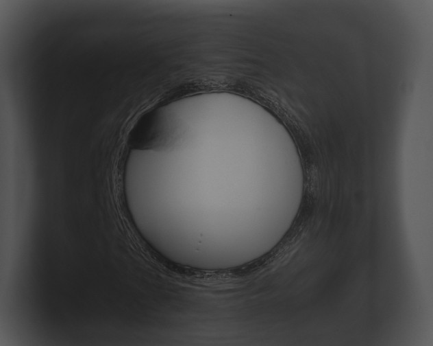 X0000100891201200806241001