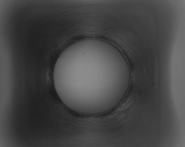 X0000100891202200806241001