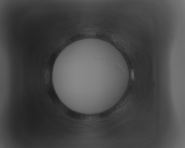 X0000100891203200806241001