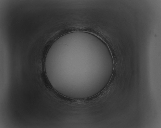 X0000100891205200806241001