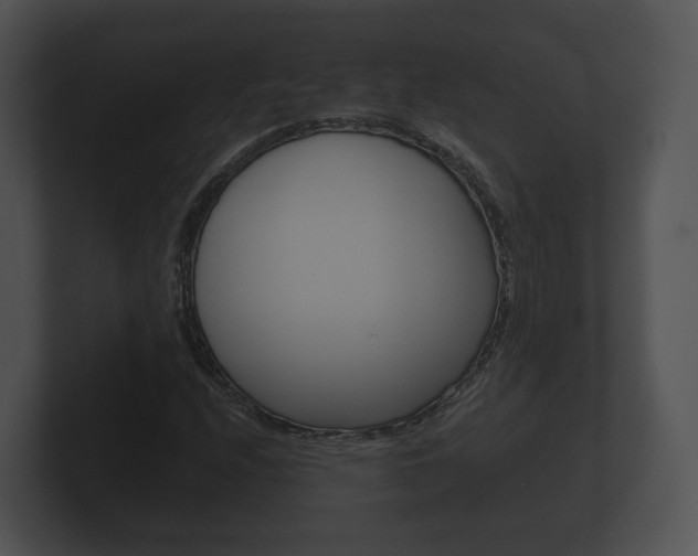 X0000100891208200806241001