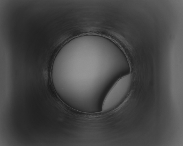 X0000100891209200806241001