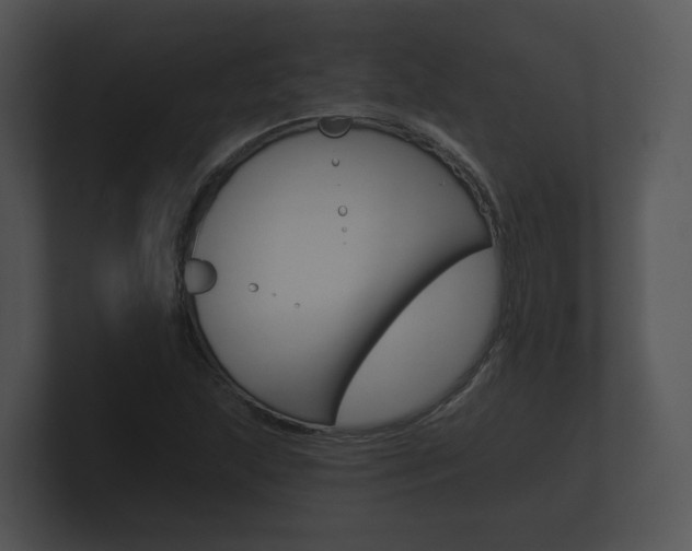 X0000100891215200806241002