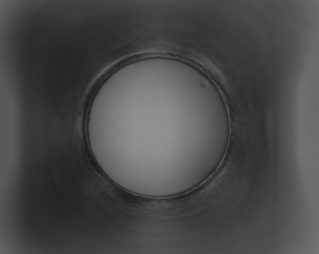 X0000100891216200806241002