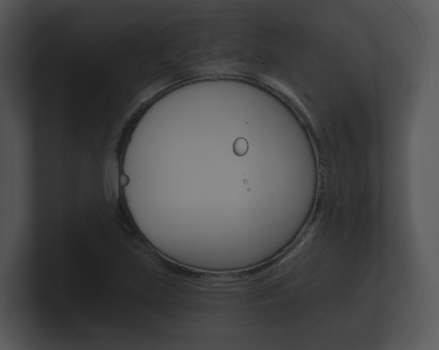 X0000100891219200806241002