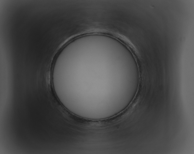 X0000100891220200806241002