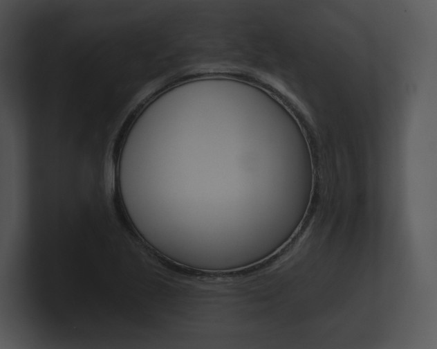 X0000100891221200806241002