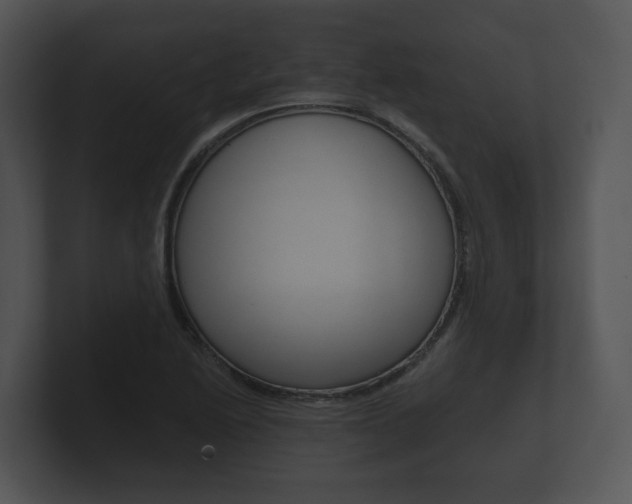 X0000100891222200806241002
