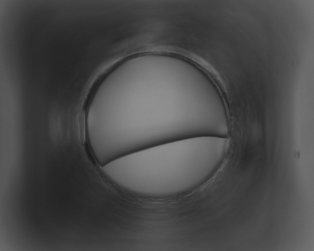 X0000100891223200806241002
