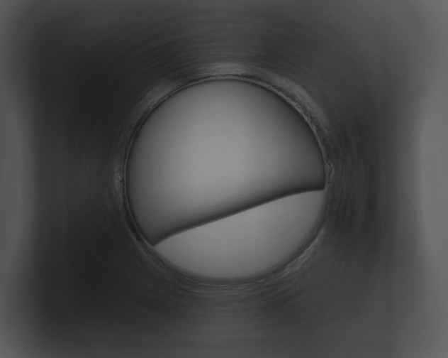 X0000100891225200806241002
