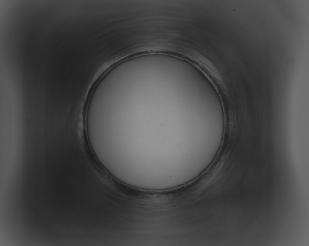 X0000100891226200806241002