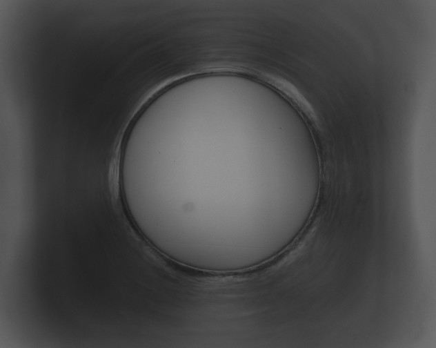 X0000100891228200806241002