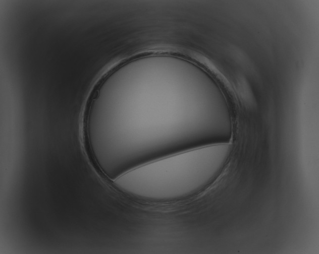 X0000100891229200806241002