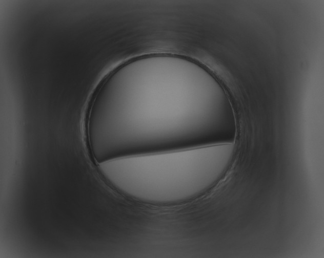 X0000100891230200806241002