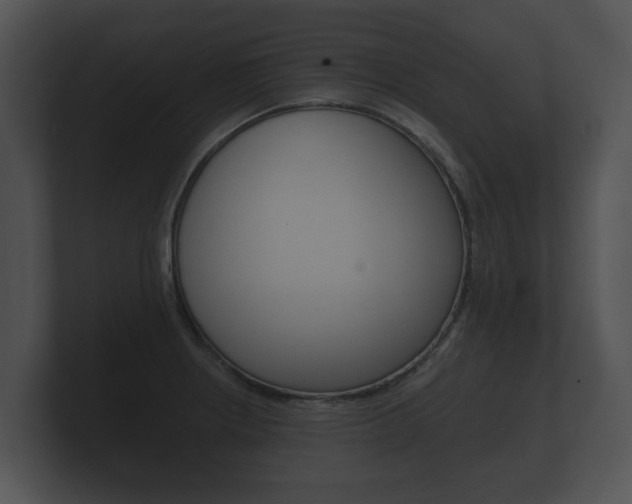 X0000100891234200806241002