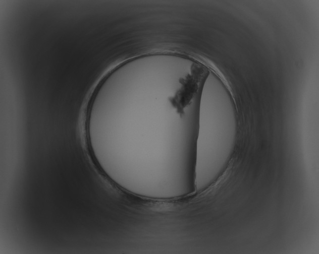 X0000100891235200806241002