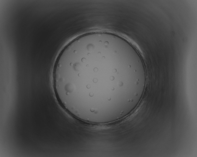 X0000100891239200806241002