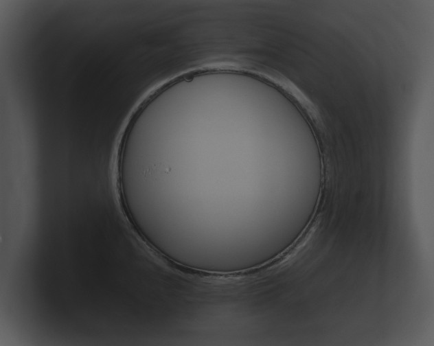 X0000100891240200806241002