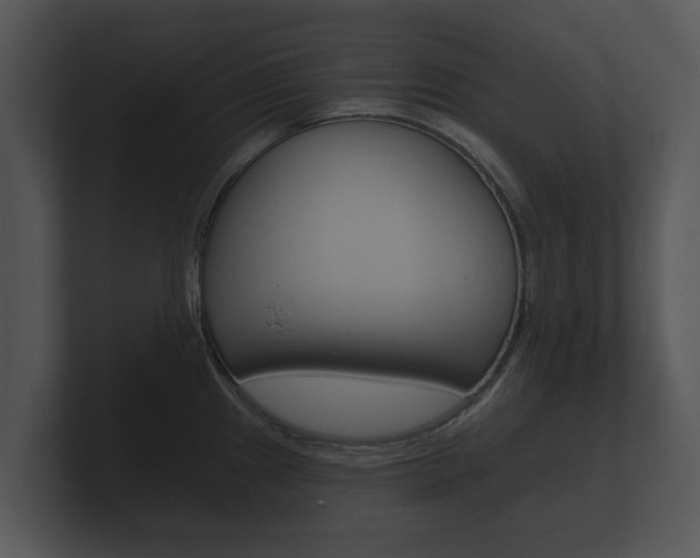 X0000100891241200806241002